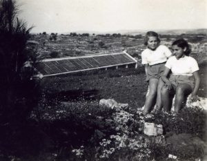 ליד החממה, 1935, חיה שחורי משמאל ודבורה שריאן. 
שחורי שעלתה ארצה עם סבה וסבתה ואחיה הבוגר (שלמה, יליד 1922) ביוני 1934, הובאה לשפיה ע"י דודה (האפוטרופוס שלה) מנחם שחורי, זמן קצר לאחר מכן. לתדהמתם של שני הילדים, הדוד הפריד ביניהם ושלמה נשלח לכפר הנוער בבן שמן.