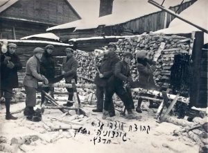 קבוצה לא מזוהה נוספת של חלוצי "גורדוניה" (חלוצה אחת ביניהם, עורמת את גזרי העצים מימין) בעבודות במנסרה, הכשרה בסטולין, חורף תרצ"א (תחילת 1931). 
סטולין נודעה בתעשיית העץ המפותחת שלה ולפיכך נמצאו במקום אפשרויות תעסוקה לחלוצים, גם הלא-מנוסים שביניהם.