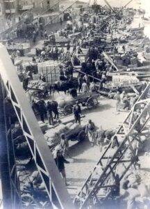 הנמל כמו כוורת דבורים, תיבות תפוזים כתמיד במוקד הפעילות. צילום דרמטי של זולטן קלוגר מ 1934. 
קלוגר, מבכירי הצלמים של תקופתו, נולד בהונגריה ב 1896, עלה ארצה באוקטובר 1933, היגר לארה"ב ב 1958,  נפטר ב 1977.