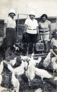 בעבודה בלול, יולי 1930.