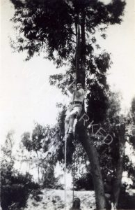 הגנה גדנ''ע 105