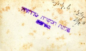 על גב התמונה:
טרנוב, 23 בדצמבר 1935, פל' "גורדוניה".