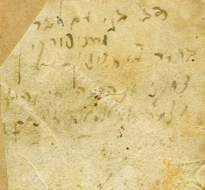 אמו השכולה של דב כותבת על גב התמונה:
"דב בני עם חבר מרדכי סורקין".