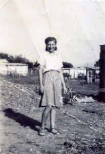 מלחמת השחרור החלל דב הורביץ 36