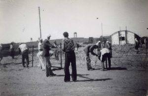 "השבויים הערבים (מטנטורה) בעבודה (במחנה 21)".