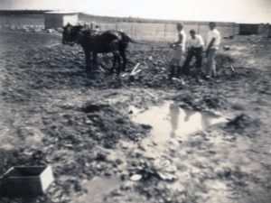 ראשית 1934, חריש ראשון ! אחרי ארבע שנים של עיבוד אדמות זרים בצ'נסטוכוב, רגע חג הסטורי בחדרה. 
טקסט ביידיש על גב התמונה, נותר כמעט בלתי-ניתן לפיענוח.