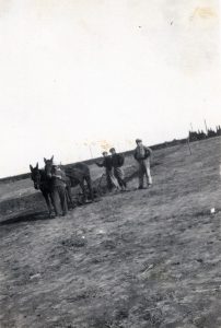 חריש בחדרה, 22 במרץ 1934.