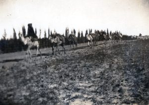 הנוף הטבעי לצד השכנים הערבים בחדרה.