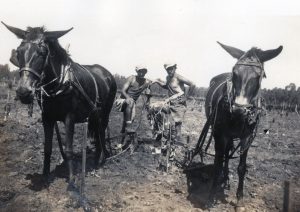 חריש, מישקה קפלן מימין.