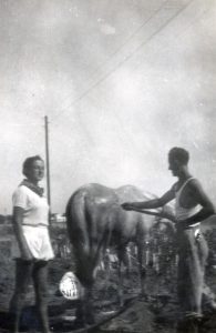 וזה מחייב כמובן טיפול בסוסים ....