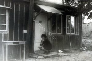 1956, יפה אשתו של חיים בחזית צריף המשפחה ביום הפינוי. מאחור היה משק החלב המשפחתי ובו 24 פרות ואת החלב מכרו למחלבת "טרה" הסמוכה. 
עשרים שנה לאחר שהקימה את משקה (במקרה של מש' בן משה, על קרקע שכורה) ובעקבות מדיניות הממשלה לחיסול משקי החי בפריפריה העירונית, מדיניות המזוהה יותר מכל עם משה דיין כשר החקלאות (החל משנת 1959), משפחת בן משה מתפנה להתחלה חדשה בגבעתיים.
