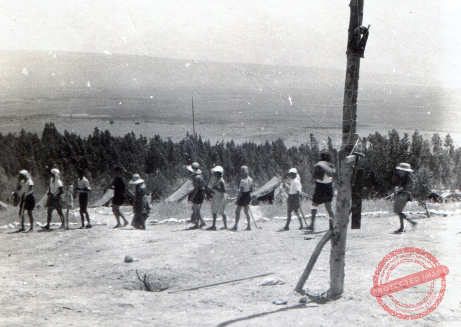 השומר הצעיר ''הרוסי'' ודרכו מכנרת לאפיקים