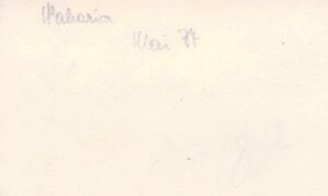 על גב התמונה. צורת הכיתוב של החודש - Mai - היא בגרמנית, שמה של החלוצה המצולמת לא פוענח.