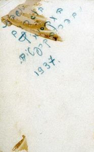 על גב התמונה: מושבת בוגרים במקסימיץ' (?) שבהרי הקרפטים, 1937.