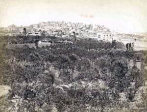 1870 בקרוב, פנורמה דרמטית של יפו במבט מצפון-מזרח לדרום-מערב כשבחזית הבוסתנים והפרדסים רחבי-הידיים ובריכת ההשקיה ("ביארה"), אשר העיר נודעה בהם. תצלום של פליקס בונפיס (Felix Bonfils). מגדולי צלמי הלבנט במאה ה 19. 
קטעים מחומת העיר וכן מיצדיות נראים בברור בתוואי המקיף אותה, ואולם, שני מבנים מבנים בולטים בתמונה מחוץ לחומות והם מסמנים יותר מכל את ראשית התפתחותה של יפו כ"עיר פרזות". המבנה הגדול בפינה השמאלית העליונה הוא החאן שהוקם בסוף שנות השלושים של המאה (נהרס כחמישים שנה לאחר מכן ועל שטחו הוקם "השוק היווני") והמבנה הדו-קומתי הניכר בלובן הבוהק שלו בימין התמונה, אף הוא מלון דרכים, אשר הוקם בשלהי שנות השישים של המאה (ועומד עד היום). התרחבות הבניה על חשבון השטחים הפסטורליים הללו הובילה עד מהרה להקמת גוש של שכונות חדשות - אירשיד ומנשיה (הערביות), נווה צדק ונווה שלום (היהודיות), ולאחר מכן גם אחוזת בית (היא תל אביב), ועל כך בהרחבה בנספח.